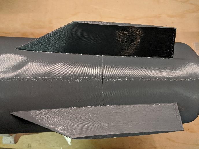 Ventral fin positioned